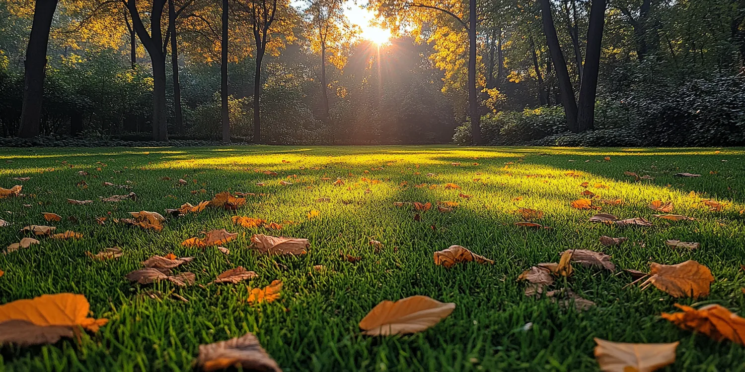 Trawa z rolki Szczecin