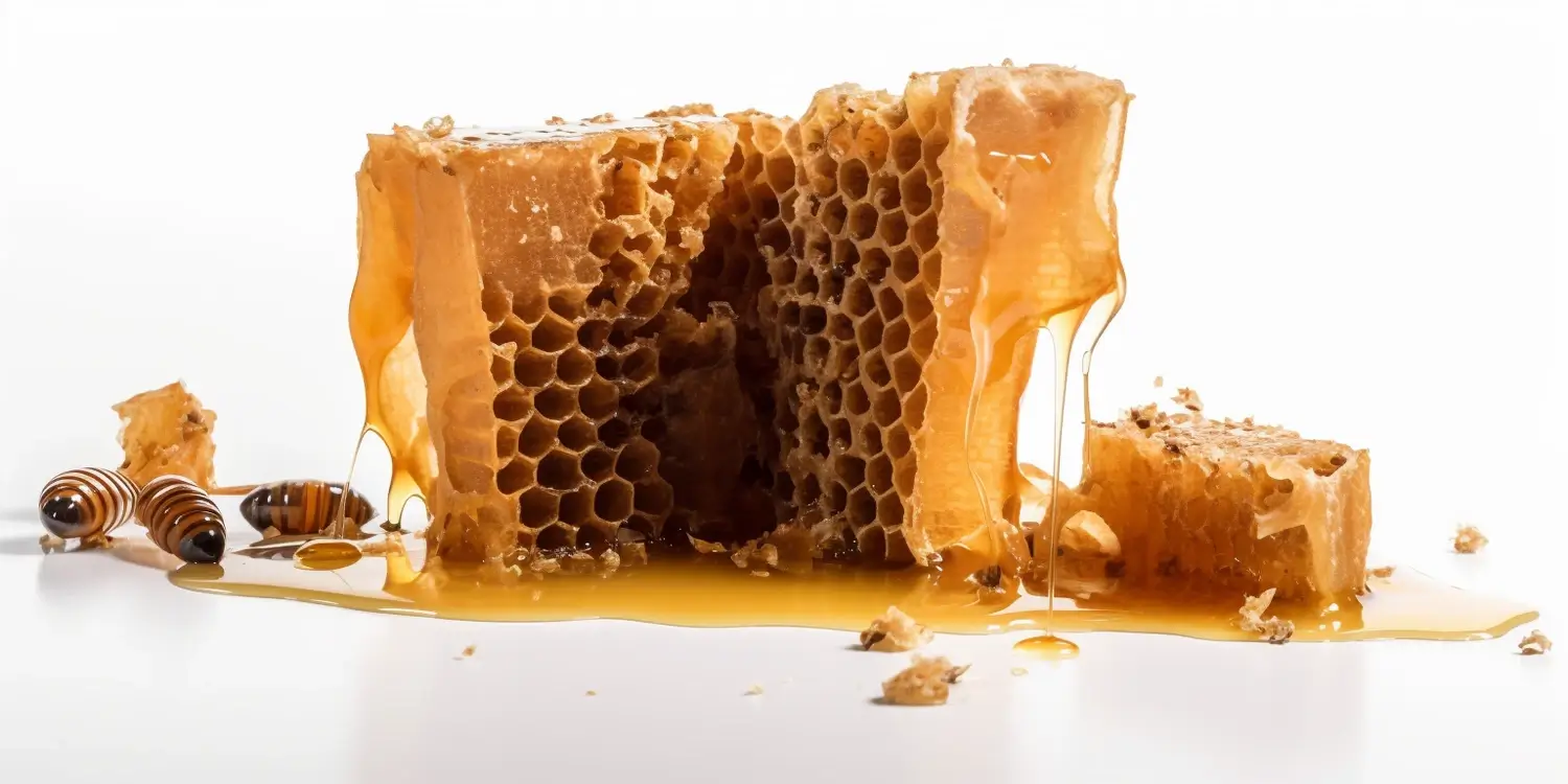 Na jakie dolegliwości jest miód gryczany?